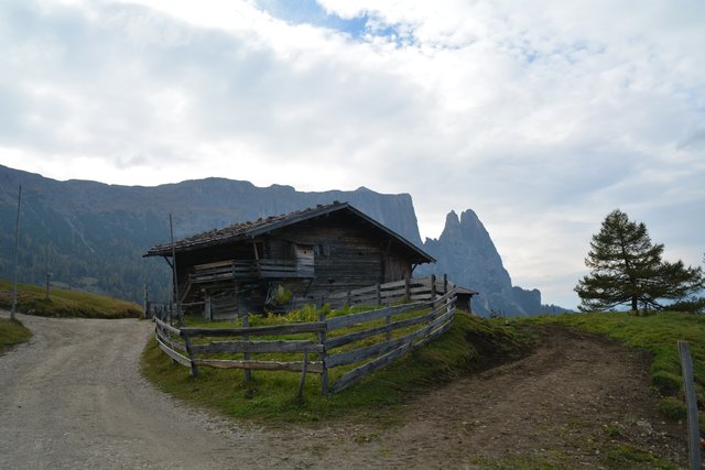 Tolle Wanderung von der Seiser Alm auf den Schlern.