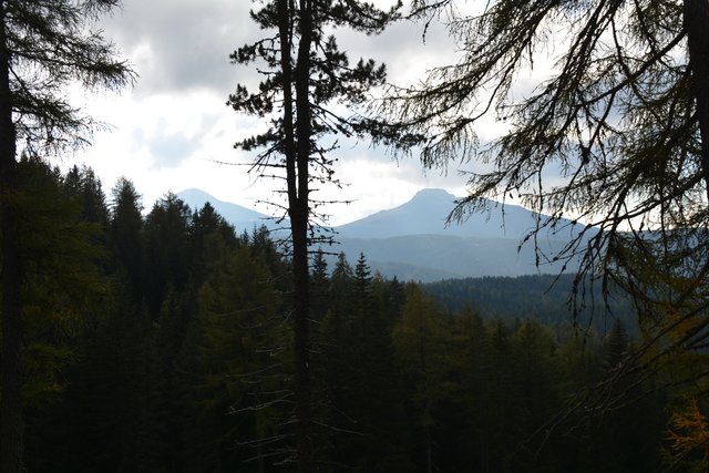 Schöner Spaziergang von der Maierl Alm nach Obereggen im Eggental.