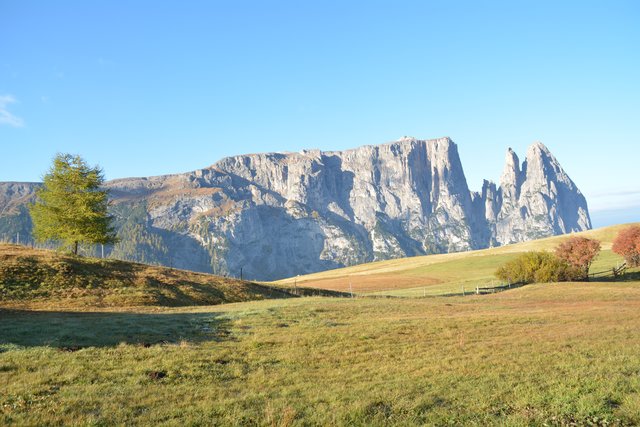 Die Seiser Alm befindet sich auf einer Seehöhe von 1.680 bis 2.350 Metern und stellt mit einer Fläche 56 Quadratkilometern eines der größten geschlossenen Hochplateaus in den Alpen dar.