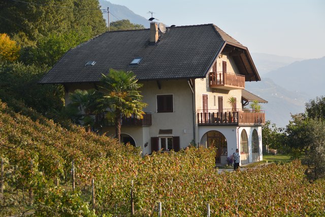 Am Erlenhof bei Familie Menghin im Überetsch.