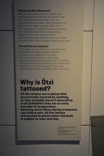Das Südtiroler Archäologiemuseum in Bozen ist der Ausstellungsort des "Mannes vom Tisenjoch", besser bekannt als "Ötzi" und gehört zu den führenden archäologischen Museen Italiens..