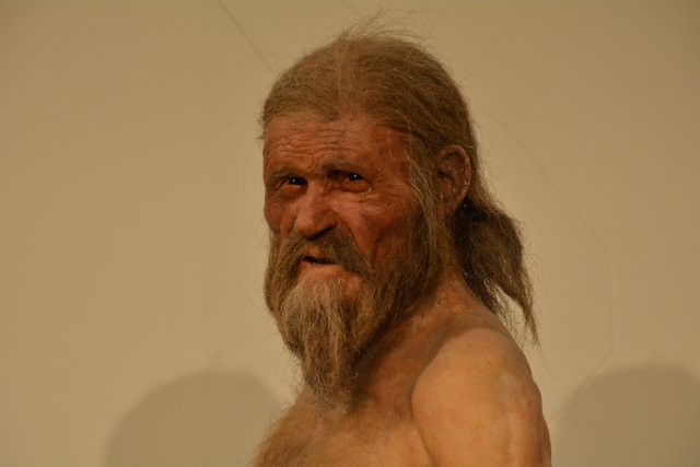 Das Südtiroler Archäologiemuseum in Bozen ist der Ausstellungsort des "Mannes vom Tisenjoch", besser bekannt als "Ötzi" und gehört zu den führenden archäologischen Museen Italiens..