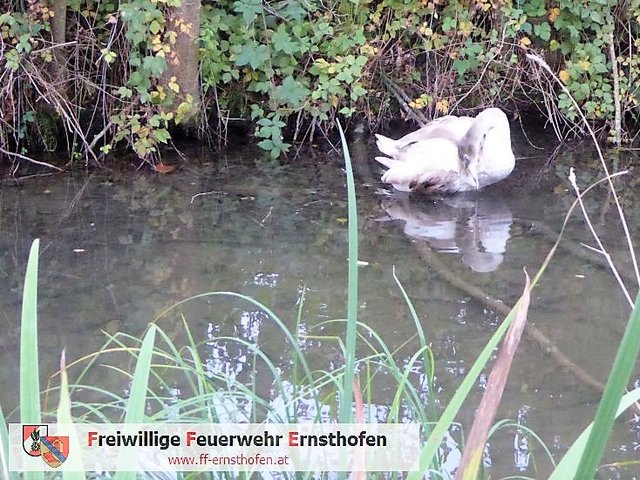 Foto: FF Ernsthofen