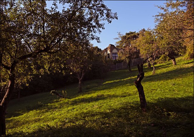 Wenn man über die herrliche Obstwiese hinaufsieht, ist der Eindruck ja noch einigermaßen gut. Warum man allerdings in eine halb verfallene Ruine an einer Gebäudeseite neue Fenster anbrachte bleibt aus wirtschaftlicher Sicht fraglich, wenn sich sonst außer Verfall nichts tut.
Foto: ©Sylvia S.