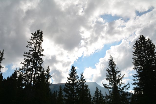 Schöner Spaziergang von der Maierl Alm nach Obereggen im Eggental.
