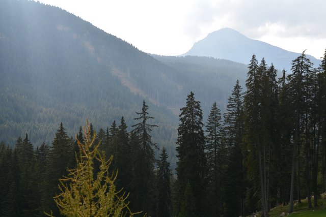 Schöner Spaziergang von der Maierl Alm nach Obereggen im Eggental.