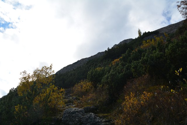 Tolle Wanderung von der Seiser Alm auf den Schlern.