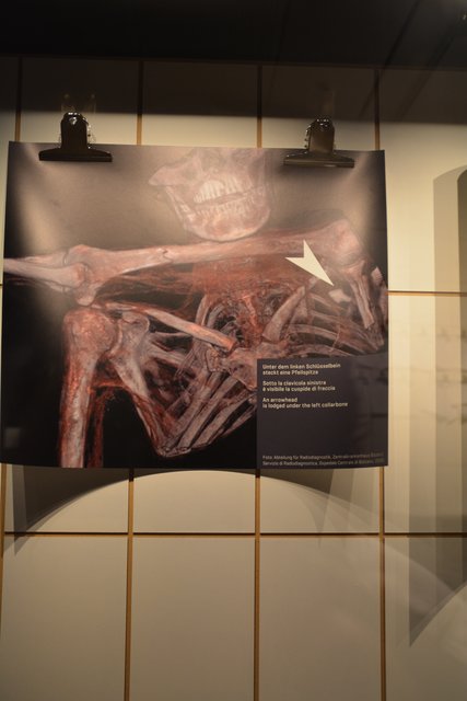 Das Südtiroler Archäologiemuseum in Bozen ist der Ausstellungsort des "Mannes vom Tisenjoch", besser bekannt als "Ötzi" und gehört zu den führenden archäologischen Museen Italiens..