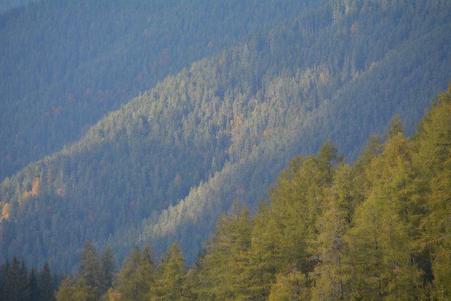 Schöner Spaziergang von der Maierl Alm nach Obereggen im Eggental.