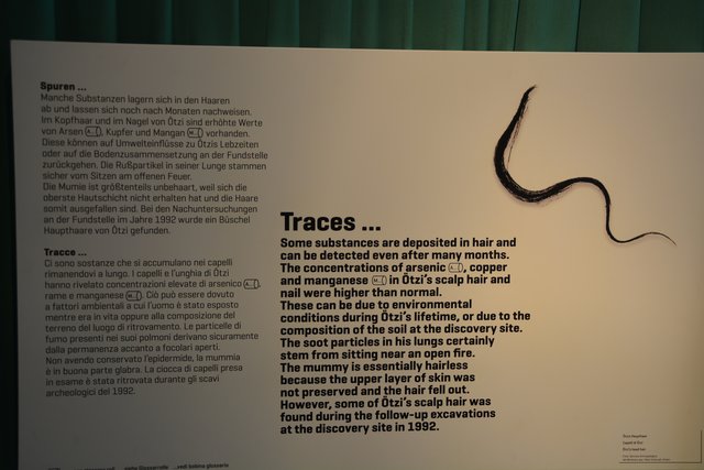 Das Südtiroler Archäologiemuseum in Bozen ist der Ausstellungsort des "Mannes vom Tisenjoch", besser bekannt als "Ötzi" und gehört zu den führenden archäologischen Museen Italiens..