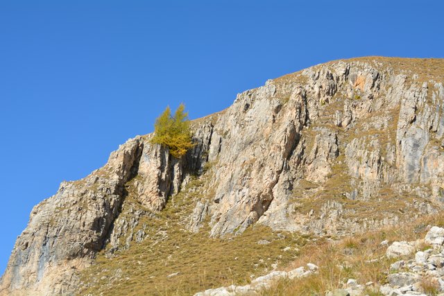 Eine gemütliche Wanderung am Fuße des 3.004 Meter hohen Rosengartens im Eggental.