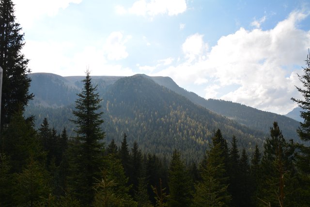 Schöner Spaziergang von der Maierl Alm nach Obereggen im Eggental.