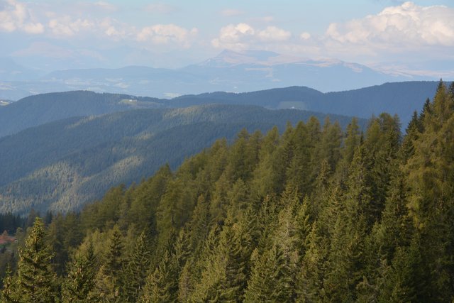 Schöner Spaziergang von der Maierl Alm nach Obereggen im Eggental.