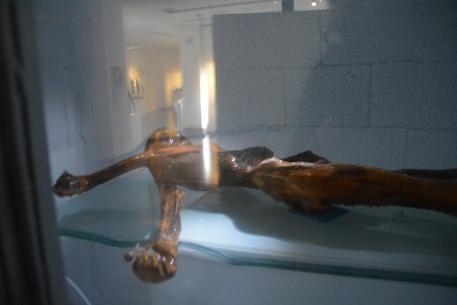 Das Südtiroler Archäologiemuseum in Bozen ist der Ausstellungsort des "Mannes vom Tisenjoch", besser bekannt als "Ötzi" und gehört zu den führenden archäologischen Museen Italiens..