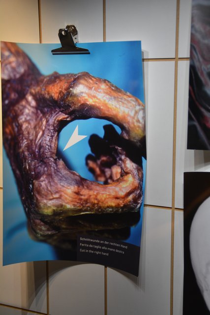 Das Südtiroler Archäologiemuseum in Bozen ist der Ausstellungsort des "Mannes vom Tisenjoch", besser bekannt als "Ötzi" und gehört zu den führenden archäologischen Museen Italiens..