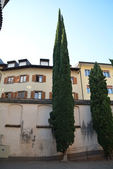 Das Franziskanerkloster und die dazugehörende Kirche in Bozen beherbergen wertvolle Fresken und weitere Kunstwerke.