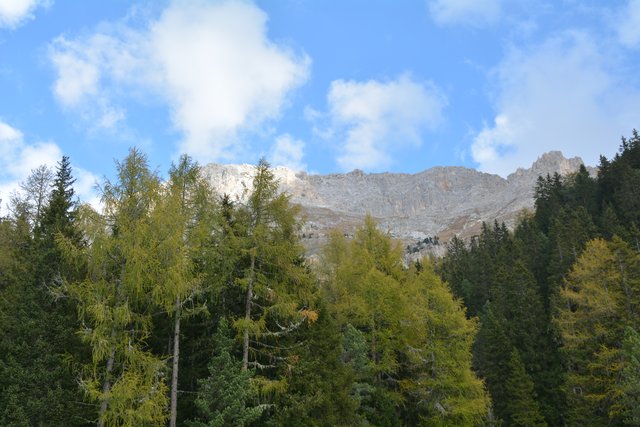 Schöner Spaziergang von der Maierl Alm nach Obereggen im Eggental.
