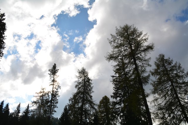 Schöner Spaziergang von der Maierl Alm nach Obereggen im Eggental.