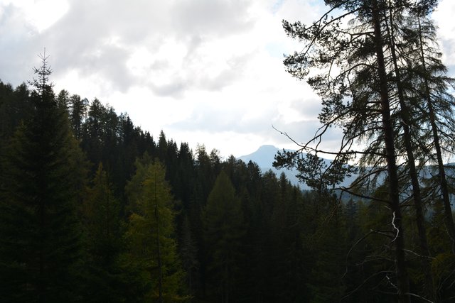 Schöner Spaziergang von der Maierl Alm nach Obereggen im Eggental.