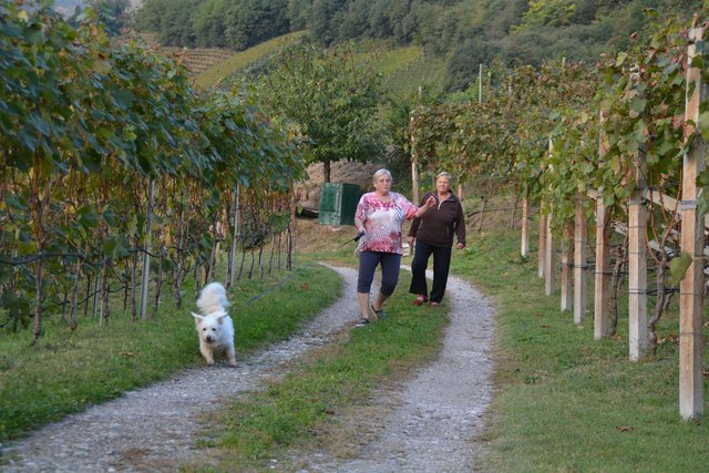 Die Tanten des Redakteurs, Ingrid Menghin und Margot Schuster, gehen Gassi mit "Poppele" Mia.