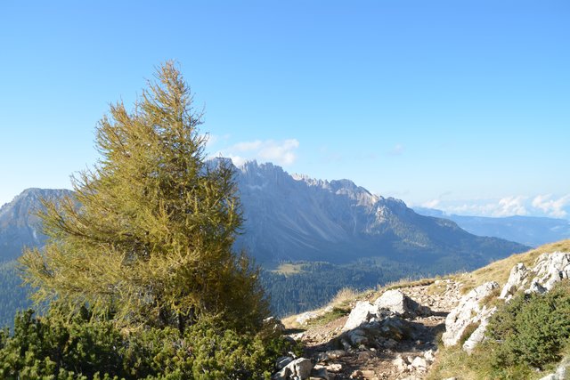 Eine gemütliche Wanderung am Fuße des 3.004 Meter hohen Rosengartens im Eggental.