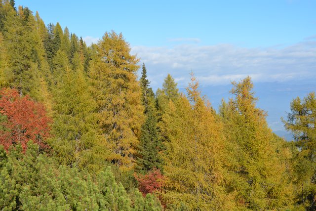 Tolle Wanderung von der Seiser Alm auf den Schlern.