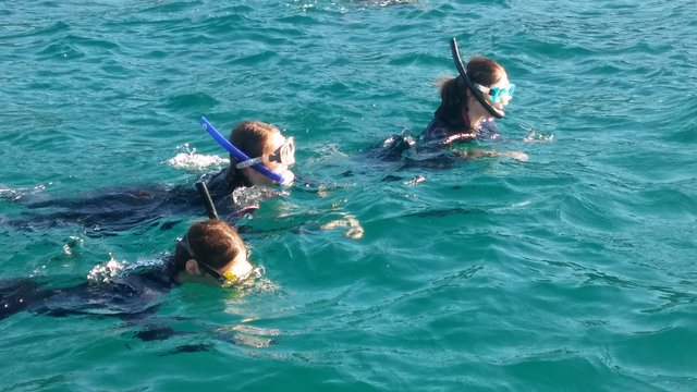 Aufregende Schnorchelgänge, Küsten- und Strandwanderungen, Laborarbeiten, Mikroskopieren standen am Programm der Meeresökologie-Projekttage der HLW Hartberg in Pula.