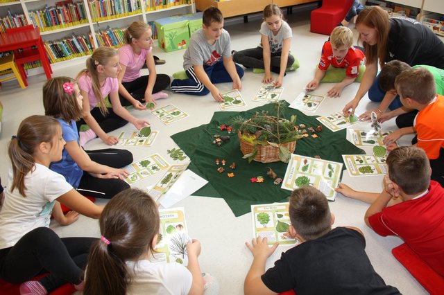 MINT wird gemeinsam mit Schülern und Kindergartenkindern in der Bücherei Litzelsdorf umgesetzt. | Foto: Ingrid Hochwarter