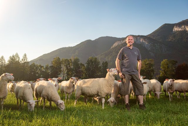 Sepp Eisl züchtet am Wolfgangsee Schafe und produziert Schafmilchprodukte.