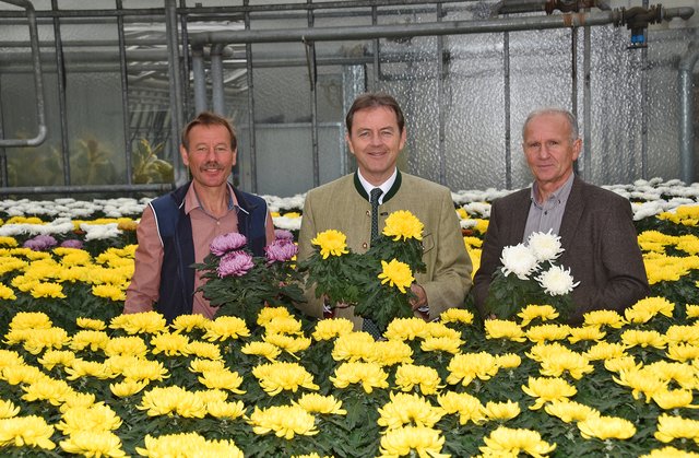 Betonen die blühende burgenländische Qualität: Gärtnermeister Andreas Pomper, Landwirtschaftskammer-Präsident Nikolaus Berlakovich und Gärtnerobmann Albert Trinkl (von links).