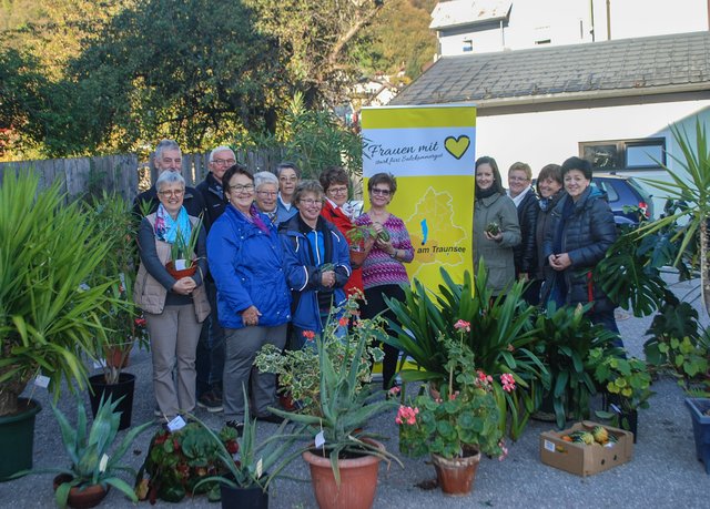 Pflanzen finden neues Zuhause: Blumiger Erfolg beim  Herbst-Pflanzenflohmarkt - Salzkammergut