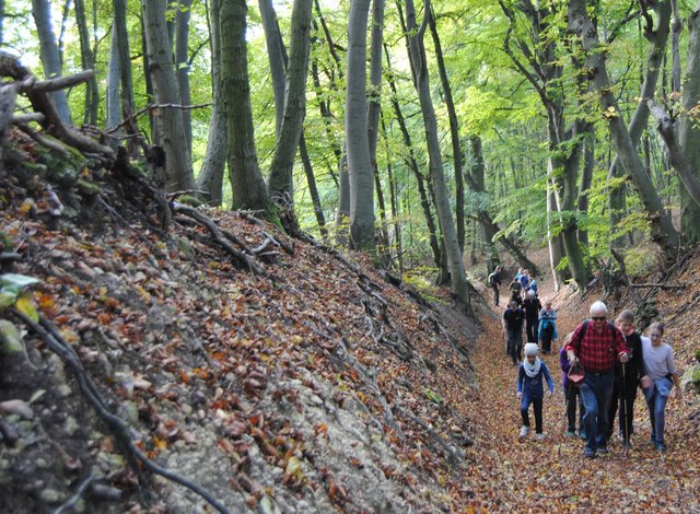 Wandern und Speckbraten im Leithagebirge
