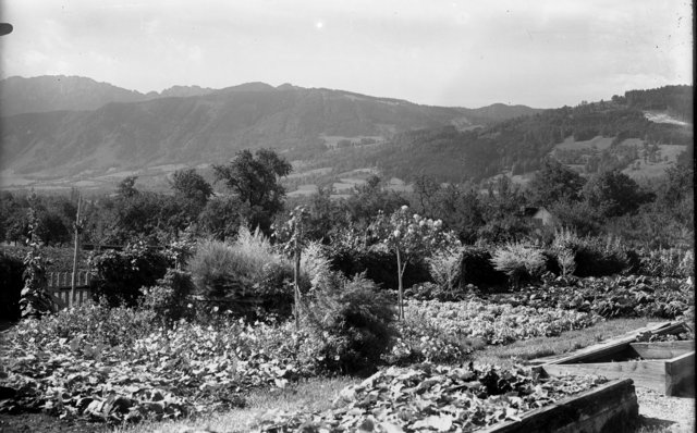 Blick vom Blumauer Garten Richtung Thurnhamberg und Kremsmauer