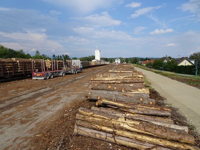 Die Zufahrtsstraße (re.) wird asphaltiert | Foto: Gemeinde Eberndorf