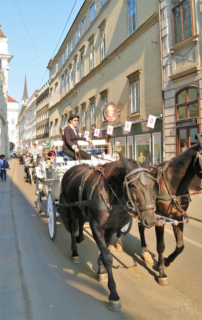 Fiaker-Pferde, Wien, Beschläge aus Gummi