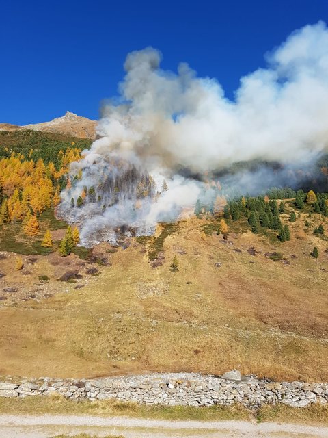Der Brand breitete sich auf eine Fläche von ca. 7 Hektar aus ehe er unter Kontrolle gebracht werden konnte. | Foto: FF St. Jakob
