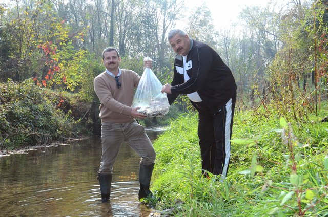 Das Fischerei-Team rund um Friedrich Brückler (r.) setzte am Wochenende 2.100 Nasen im Laabenbach aus.
