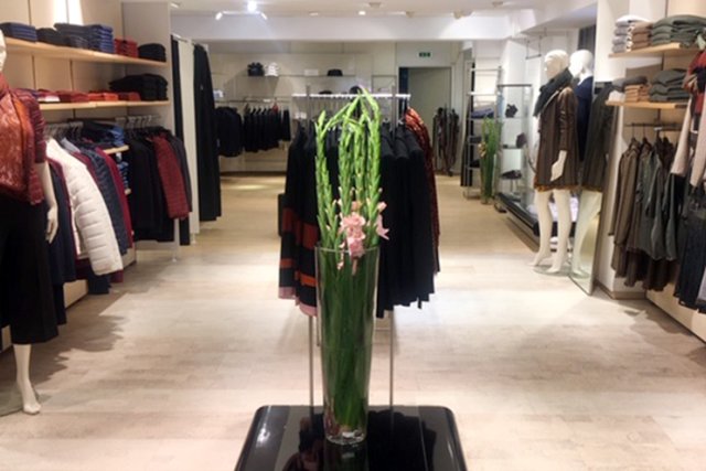 Sisley | Foto: Sisley