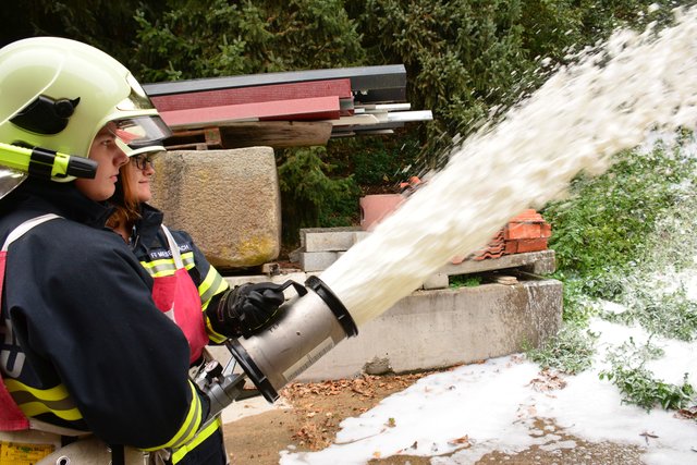 Foto: Herbert Denkmayr