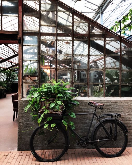 Ein Glashaus im Glashaus: Der Mitarbeiterraum beim Royal Lemkes.