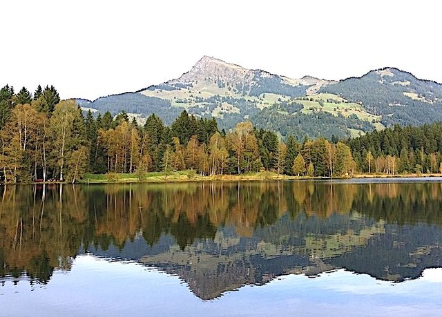 Aufwändigen Güterweg am "Horn" gebaut.