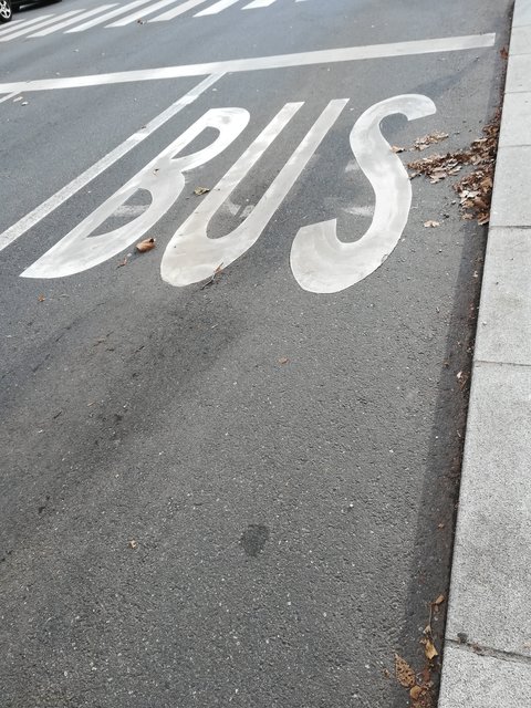 Zweiradler können manchmal die Busspur nehmen. | Foto: BRS