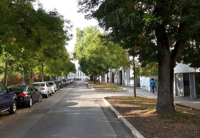 Nachher: Nach den Maßnahmen erstrahlt sie in neuem Glanz. | Foto: KK