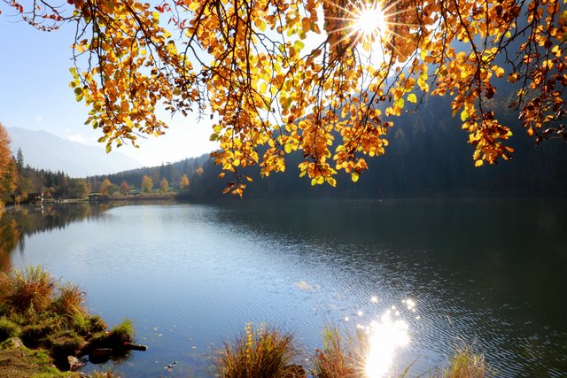 Single stadt keutschach am see. Bekanntschaften weiblich goldegg. Mehrnbach frauen kennenlernen. Singles umgebung sankt agatha. Aschbach-markt flirten. Lambach frau sucht mann fr eine nacht: Gramatneusiedl
