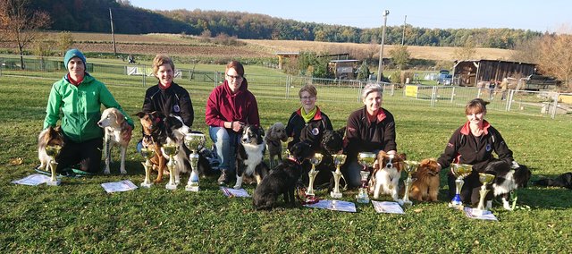 Das erfolgreiche Schremser Agility-Team bei der Landesmeisterschaft 2018