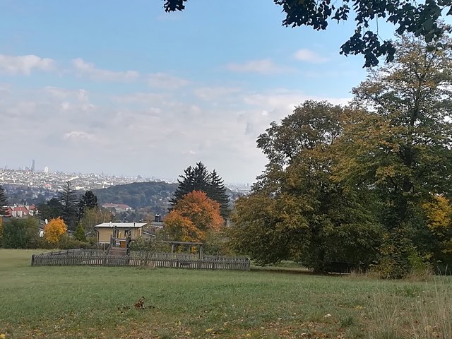 Die Wiese an der Joseph-Lister-Gasse soll nach der verstorbenen Frauen- und Gesundheitsministerin Sabine Oberhauser benannt werden. | Foto: SPÖ Hietzing
