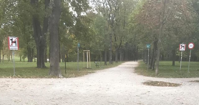 Das Hundeverbot gilt nun nur noch auf Jesuiten- und Arenawiese, aber nicht mehr auf dem Stadtwanderweg dazwischen.