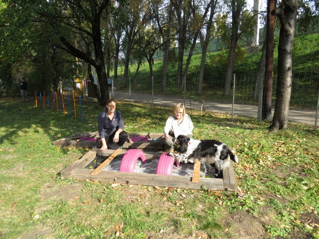 Kathrin Schar übt in ihrem Hundegarten mit Stephanie Setzger und der 3-jährigen Springerspanieldame Käthi.