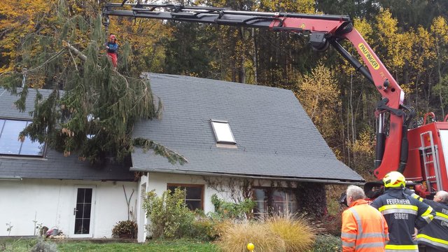 In Soboth mussten die Feuerwehren einen Baum entfernen, der auf ein Haus gestürzt war. | Foto: FF Eibiswald