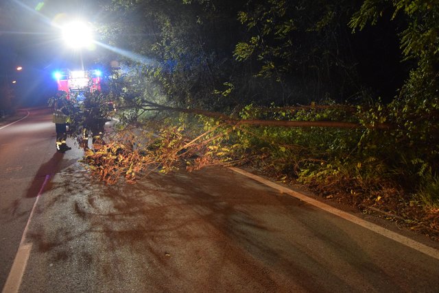 Ein Baum lag quer über die halbe Fahrbahn | Foto: FF Purkersdorf